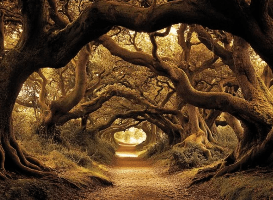 Soul Pathway Session 45 min