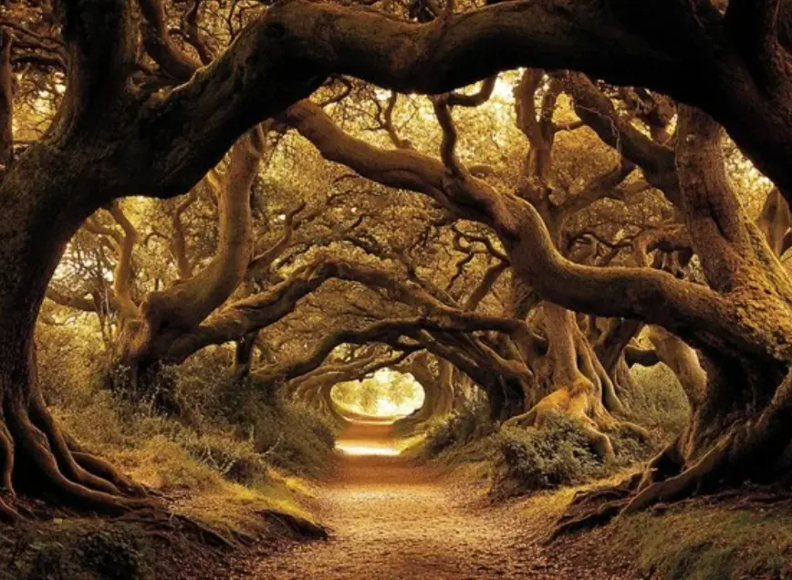 Soul Pathway Session 30 min